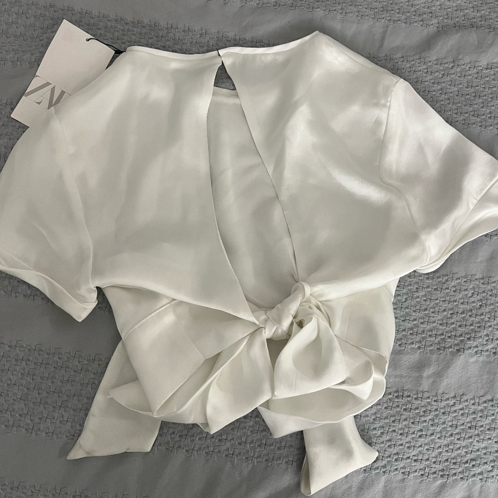 Zara top - Open back